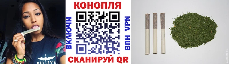 где можно купить   Электросталь  Бошки Шишки Ganja 